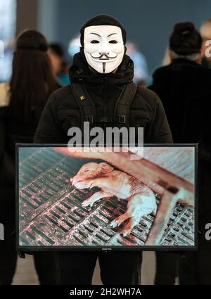 Ein Mitglied der globalen Tierrechtsorganisation Anonymous for the Voiceless während einer Veranstaltung zur Öffentlichkeitsarbeit zum Cube of Truth auf der Market Street in Manchester. Die Mitglieder halten Bildschirme mit „Standardmaterial“ aus der Tierhaltung, während andere Teilnehmer zur Verfügung stehen, um sich mit den Mitgliedern der Öffentlichkeit in Gesprächen zu engagieren. Bilddatum: Sonntag, 24. Oktober 2021. Stockfoto