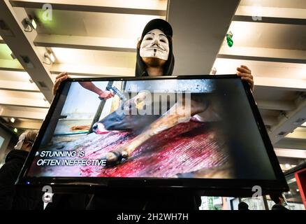 Ein Mitglied der globalen Tierrechtsorganisation Anonymous for the Voiceless während einer Veranstaltung zur Öffentlichkeitsarbeit zum Cube of Truth auf der Market Street in Manchester. Die Mitglieder halten Bildschirme mit „Standardmaterial“ aus der Tierhaltung, während andere Teilnehmer zur Verfügung stehen, um sich mit den Mitgliedern der Öffentlichkeit in Gesprächen zu engagieren. Bilddatum: Sonntag, 24. Oktober 2021. Stockfoto