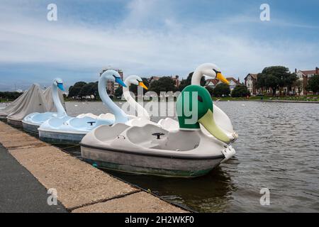 Schwan- und Entenpedalos, die auf dem Kanusee, Sothsea, festgemacht sind, können gemietet werden. Stockfoto