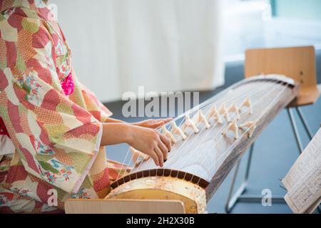 Nahaufnahme eines japanischen Künstlers, der einen schönen Kimono trägt und den Koto spielt, ein traditionelles Saiteninstrument. Nicht erkennbare Frau von ihrem Rig aus gesehen Stockfoto