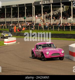 Oktober 2021 - Rennen beim Goodwood Members Meeting 78 Stockfoto
