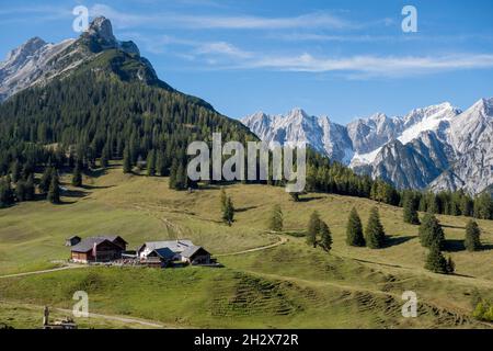 Walderalm - Gnadenwald Tirol, Österreich Stockfoto