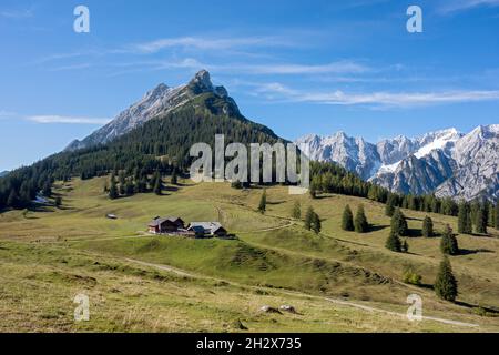 Walderalm - Gnadenwald Tirol, Österreich Stockfoto