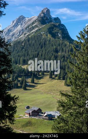 Walderalm - Gnadenwald Tirol, Österreich Stockfoto