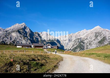 Walderalm - Gnadenwald Tirol, Österreich Stockfoto