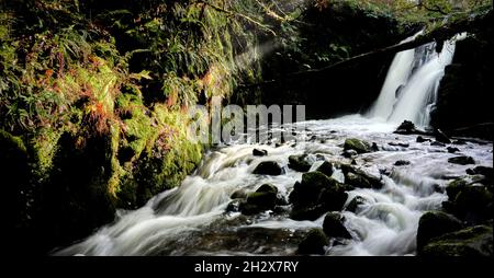 Doppelter Wasserfall am Venford Brook, einem Nebenfluss des River Dart am Dartmoor Devon UK Stockfoto