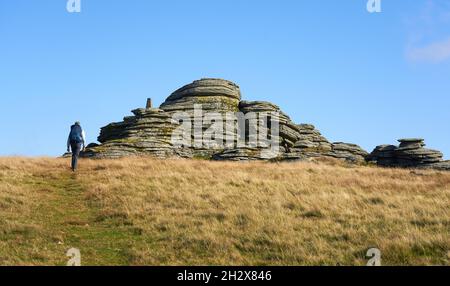 Walker nähert sich dem Great Links Tor mit seinem prominenten Trig Point am Western Dartmoor in Devon UK Stockfoto