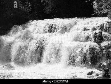 Eine monochrome Aufnahme eines breiten schäumenden Wasserfalls, der in einen Fluss im Wald fließt Stockfoto