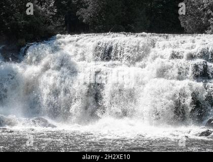 Eine monochrome Aufnahme eines breiten schäumenden Wasserfalls, der in einen Fluss im Wald fließt Stockfoto