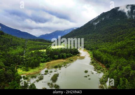 Sumpf del Tranco im Nationalpark Cazorla - Jaen Stockfoto