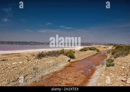 Schöne Landschaft mit Blick auf den Salzsee, mit rosa Wasser, in Torrevieja, Spanien, Provinz Alicante. Horizontale Ansicht Stockfoto