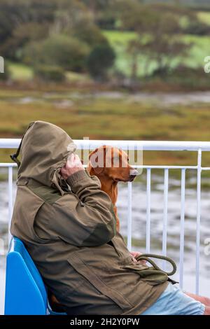 Mann sitzt auf einer Bank mit seinem Haustier vizsla Hund auf seinem Telefon reden in einer Kapuzenjacke. Mann sitzt mit vizsla Hund, Mann und Hund auf Bank zusammen Stockfoto