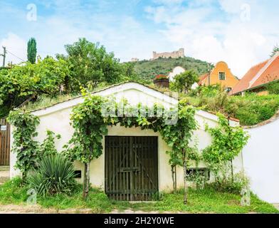 Pavlov, Tschechien. 29. August 2021. Traditionelle Weinkeller in Pavlov, Tschechien, Europa. Weinregion und lokale Folklore. Stockfoto