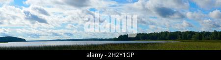 Ein großer See mit grasbewachsenen Ufern. Die Ufer des Sees waren mit Schilf überwuchert. Panoramablick. Stockfoto