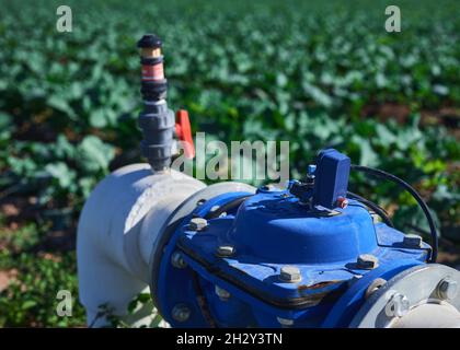 Detail eines automatisierten Bewässerungsventils in einer Brokkoli-Plantage Stockfoto