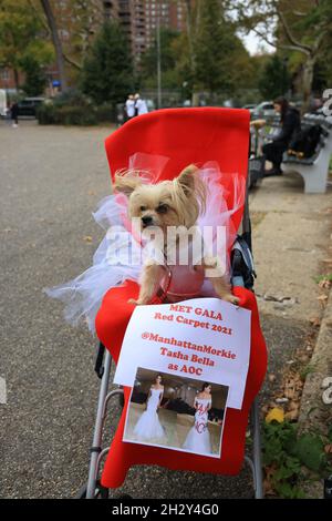 New York, N.Y/USA – 23. Oktober 2021: Ein Hund in Kostüm während der 31. Tompkins Square Halloween Hundeparade. Quelle: Gordon Donovan/Alamy Live News Stockfoto