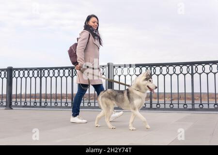 Eine junge Frau mit ihrem Husky Dog, die an einem Herbsttag am Ufer entlang läuft Stockfoto