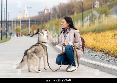 Junge Frau trainiert ihren Husky Dog im Herbst Stadtpark Stockfoto