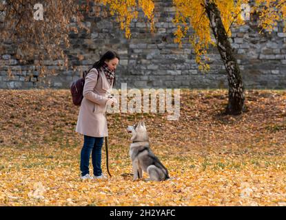 Junge Frau trainiert ihren Husky Dog im Herbst Stadtpark Stockfoto