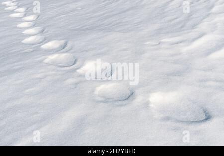 Halb geschmolzene alte Schritte im Schnee, bedeckt mit neuem weißen Schnee Stockfoto