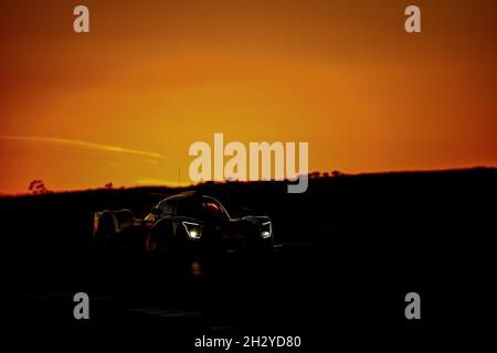 Ambiance Race Sunset während der 6. Runde des Michelin Le Mans Cup, vom 21. Bis 24. Oktober 2021 auf dem Algarve International Circuit, in Portimao, Portugal - Foto: Paulo Maria/DPPI/LiveMedia Stockfoto