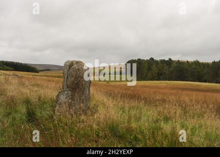 Der Cateran Trail ist ein 64 Meilen langer Rundweg in Perthshire. Es beginnt und endet in Blairgowrie und ist sehr gut markiert. Das Foto Stockfoto