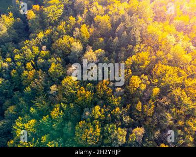 Herbstzeit bunter Wald von oben Stockfoto