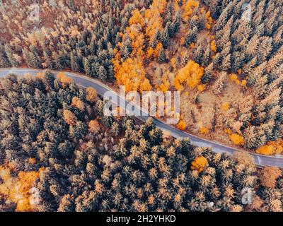 Herbstzeit farbenfroher Wald und schmale Asphaltstraße Stockfoto