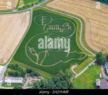 Benedikt Lünemann zaubert jedes Jahr ein Maislabyrinth auf seinem Feld. Meist sind die Motive gesellschaftskritisch oder politisch. Dieses Jahr ist es eine Person wi Stockfoto