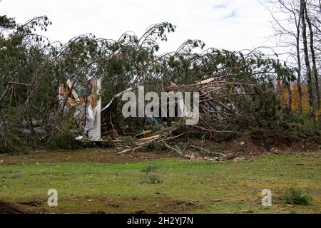 Eine Garage, die von einer großen Kiefer während eines starken Windes in Speculator, NY, USA, zerkleinert wurde Stockfoto