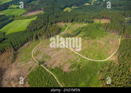 Luftaufnahme, Waldgebiet mit Waldschäden bei Iseringhausen und Brachtpe, Drolshagen, Sauerland, Nordrhein-Westfalen, Deutschland, Baumtod,