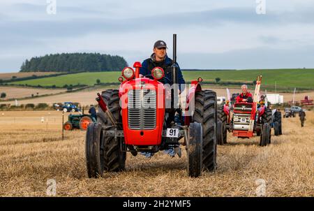 Parade der Vintage-Traktoren bei 70. Britischen Pflügen-Schiffen, Mindrum Mill, Northumberland, England, Großbritannien Stockfoto