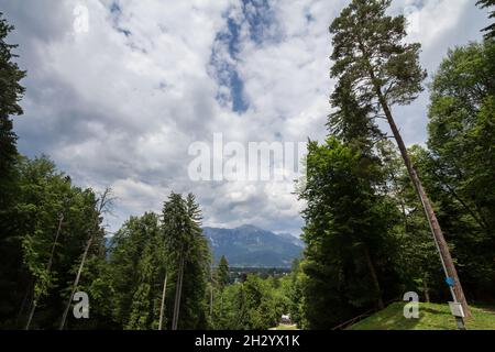 Bild einer Skipiste im Sommer in Bled, Slowenien, in Europa, in den alpen. An einem warmen Nachmittag. Stockfoto