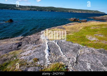 Eine Abwärtsansicht mehrerer weißer und grauer Quarzadern, die durch eine graue felsige Bergklippe verlaufen. Es gibt Gras und Meerwasser im Hintergrund. Stockfoto