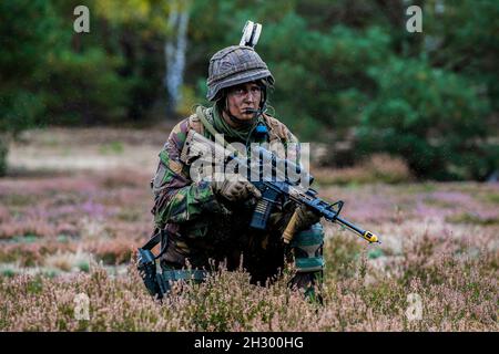 Ein Soldat der Rapid Response Forces Division sorgt während der NATO-Übung GREEN GRIFFIN 21 am 4. Oktober 2021 in Lehnin, Deutschland, für Sicherheit. GREEN GRIFFIN ist eine jährliche NATO-Trainingsübung, die darauf ausgerichtet ist, die Größe, Leistungsfähigkeit und Interoperabilität von NATO-Verbündeten und Partnerkräften zu erhöhen. Die Übung umfasste Elemente der 12. Kampfluftwaffenbrigade der US-Armee, der Rapid Response Forces Division der Bundeswehr, der niederländischen Luftwaffe und der mechanisierten Brigade der rumänischen Armee. (USA Armeefoto von Michele Wiencek). Stockfoto