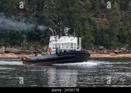Der Schlepper CT Titan, der schnell an der Manövrierbewegung von Holzbooten vor Valdes Island arbeitet, erzeugt eine Bugwelle und eine Abgasfahne, während er sich vom Ufer entfernt. Stockfoto