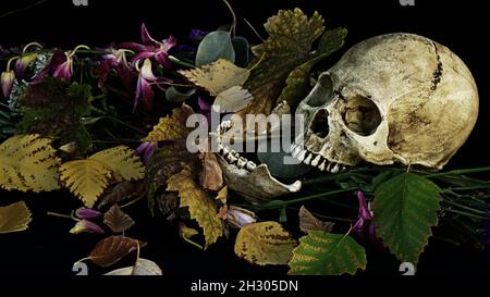 Schädel und Blumen Dia de los Muertos Stillleben Stockfoto