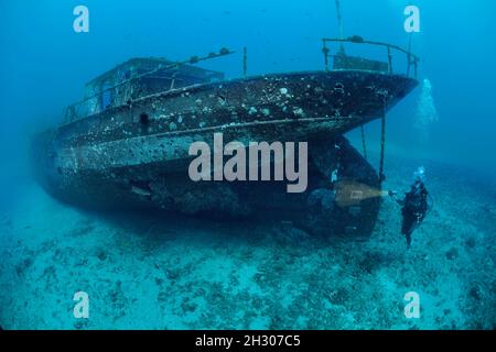 Der karthagische, Lahaina Wahrzeichen, wurde als eine künstliche Riff vor Lahaina, Maui, Hawaii im Dezember 2005 gesunken. Stockfoto