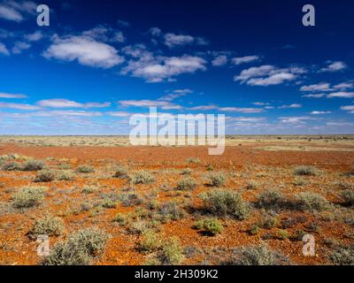 Roter Schmutz und blauer Himmel der südaustralischen Wüste nördlich von Coober Pedy vom Stuart Highway aus gesehen. Stockfoto