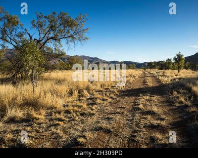 Zugang zum Campingplatz Mt Zeil (Urlatherrke) Wilderness Park, West MacDonnell Ranges, Northern Territory Stockfoto