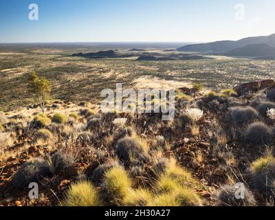 Blick nach Norden auf den Sonnenaufgang vom NE-Rücken des Mt. Zeil/Urlatherrke, West MacDonnell Ranges, Northern Territory. Stockfoto