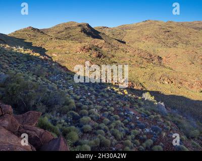 Der NE-Rücken des Mt Zeil/Urlatherrke, West MacDonnell Ranges, Northern Territory. Stockfoto