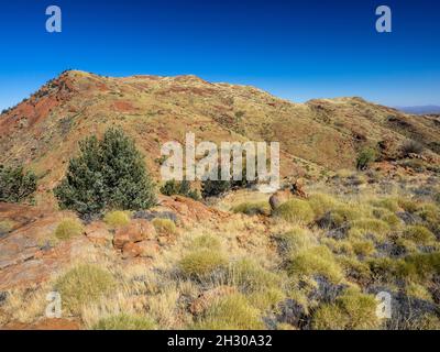 Der NE-Rücken des Mt Zeil/Urlatherrke, West MacDonnell Ranges, Northern Territory. Stockfoto