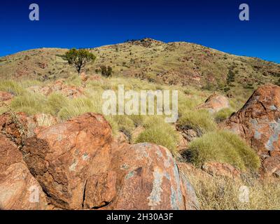 Falscher Gipfel auf dem NE-Grat des Mt. Zeil/Urlatherrke, West MacDonnell Ranges, Northern Territory. Stockfoto