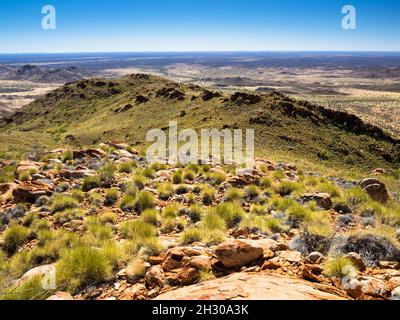 Blick nach Norden entlang des NE-Rückens des Mt. Zeil/Urlatherrke, West MacDonnell Ranges, Northern Territory. Stockfoto