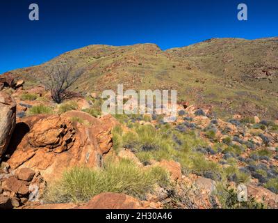 Der NE-Rücken des Mt Zeil/Urlatherrke, West MacDonnell Ranges, Northern Territory. Stockfoto