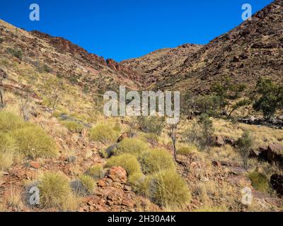 Der NE-Rücken des Mt Zeil/Urlatherrke, West MacDonnell Ranges, Northern Territory. Stockfoto