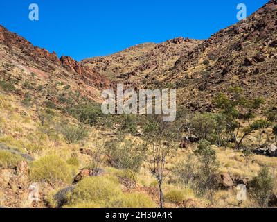 Der NE-Rücken des Mt Zeil/Urlatherrke, West MacDonnell Ranges, Northern Territory. Stockfoto