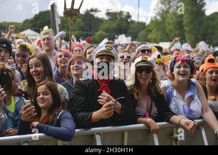 Allgemeiner Blick auf die Hauptbühne am 3. Tag des Beestival 2013, Robin Hill Country Park, Isle of Wight Stockfoto