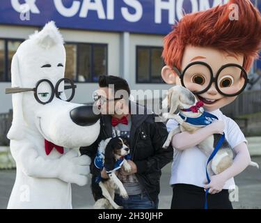 Peter Andre nennt zwei Hunde im Battersea Dogs & Cats Home nach den beiden Hauptfiguren in der neuen DreamWorks Animation Mr Peabody & Sherman, Battersea - London Stockfoto